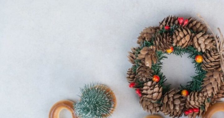 A Beginner's Guide to Decorating Christmas Trees Like a Professional Designer