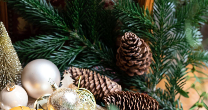 The Environmental Impact of Christmas Trees: A Complete Guide