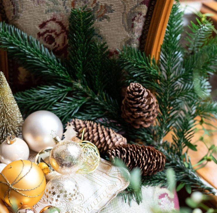 The Environmental Impact of Christmas Trees: A Complete Guide