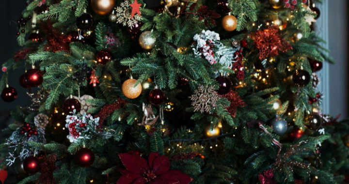 Artificial Christmas Trees: A Choice for Education, Health, and Sustainability